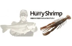 BottomUp Hurry Shrimp 4″
