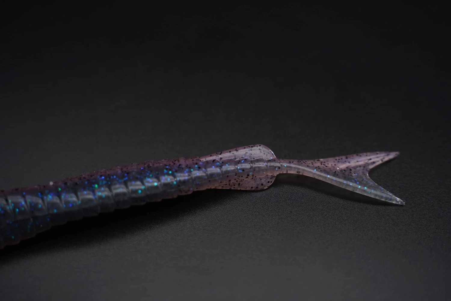 Galapagos Zegrashad 2 Galapagos Zegrashad – Bild 2