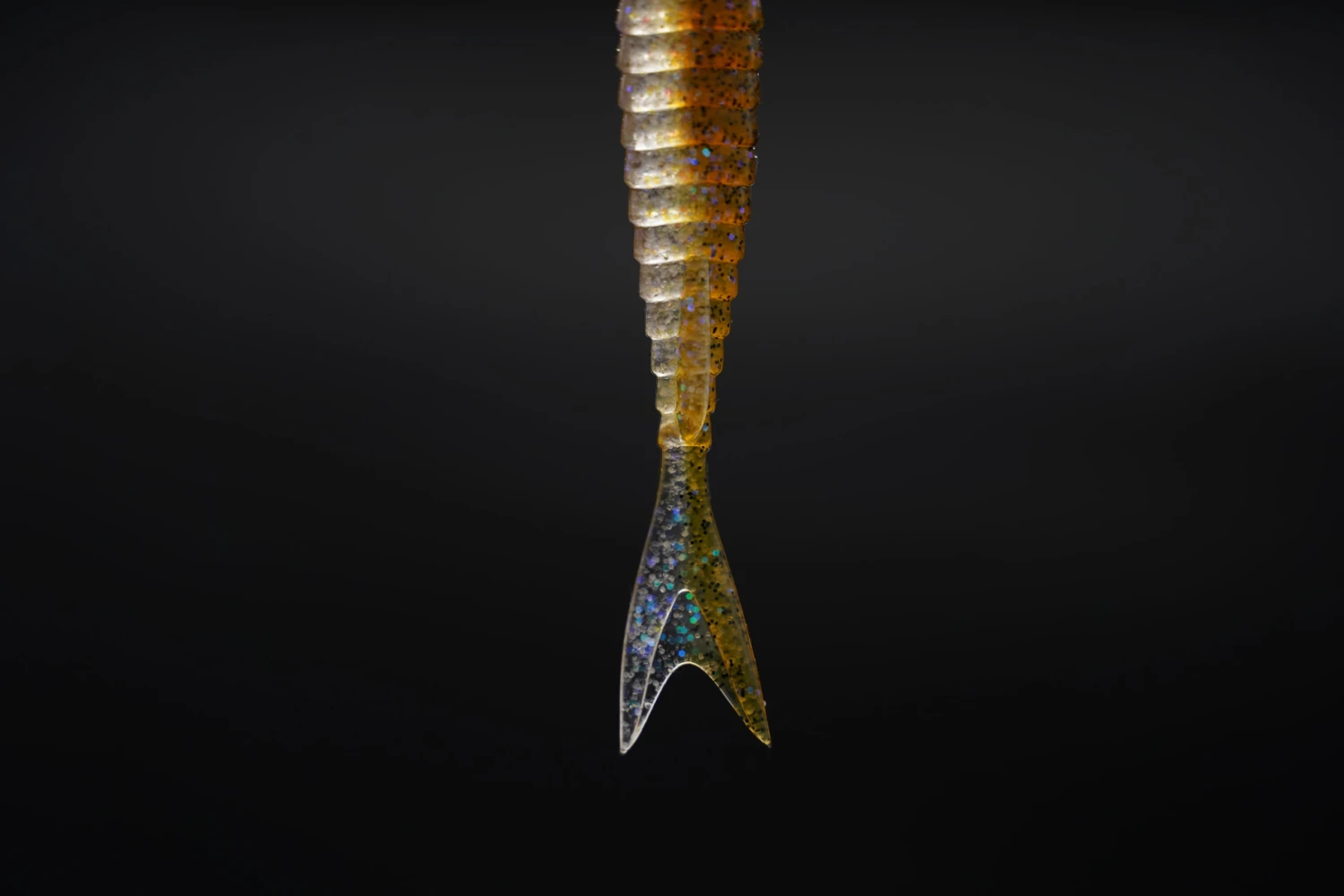 Galapagos Zegrashad 3 Galapagos Zegrashad – Bild 3