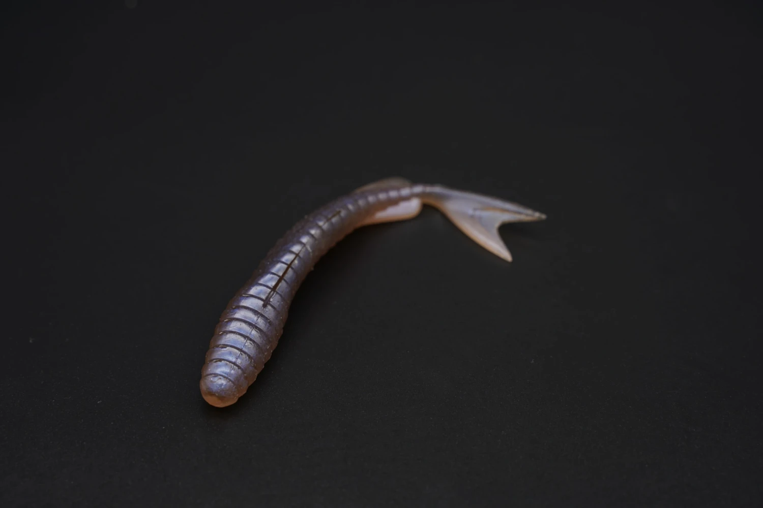 Galapagos Zegrashad 4 Galapagos Zegrashad – Bild 4