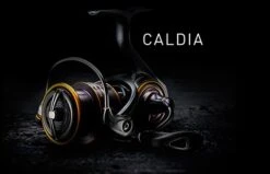 Daiwa ’21 Caldia LT Spinnrolle - Ultraleicht & Leistungsstark