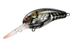 Daiwa Rattlin Wild Peanut
