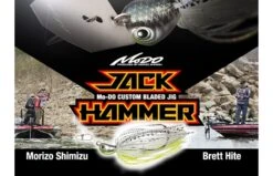 Evergreen Jack Hammer