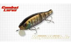 Evergreen Royal Flash Jr.