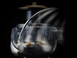 Daiwa ’23 Saltiga -FishCandy Geschaft Saltiga 03