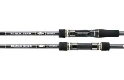 Xesta Black Star Hard