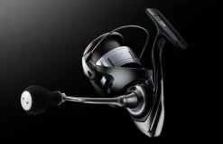 Daiwa ’23 Lexa LT