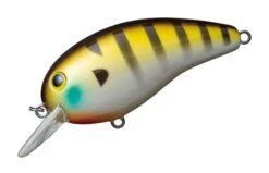 Daiwa Deka Peanut II DR