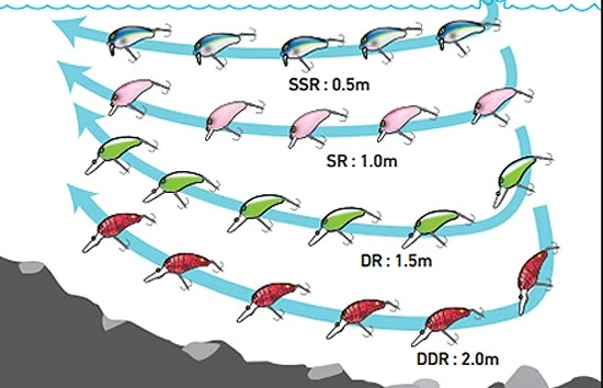 Daiwa Peanut DR 2 Daiwa Peanut DR – Bild 2