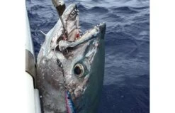 Decoy JS-2 Jigging Single Cutlass Assist Hook -FishCandy Geschaft decoy js 2 jigging single cutlass detail3