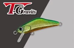 Ivyline T-Gravits HS 36S