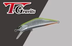 Ivyline T-Gravits HS 50S