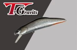 Ivyline T-Gravits HS 70S