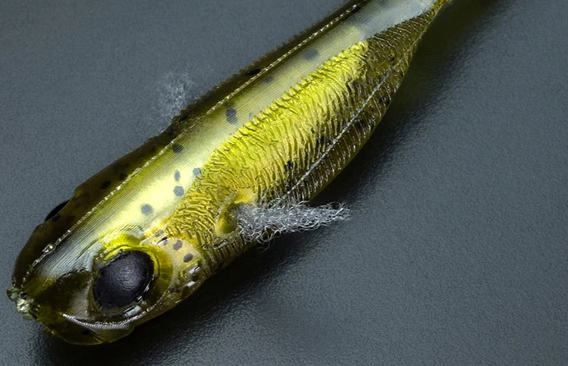 Jackall Elise 1.5″ 5 Jackall Elise 1.5″ – Bild 5