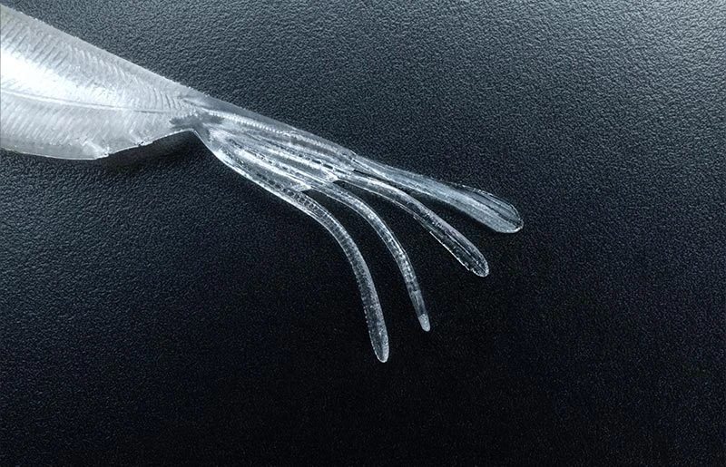 Jackall Elise 1.5″ 4 Jackall Elise 1.5″ – Bild 4