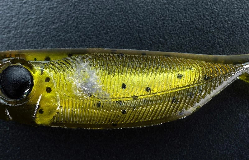 Jackall Elise 1.5″ 2 Jackall Elise 1.5″ – Bild 2