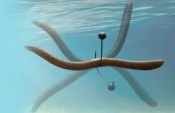 Jackall Flick Shake 500 6 Jackall Flick Shake 500 -FishCandy Geschaft jackall flick shake 500 detail2