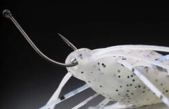 Jackall Need Bug 9 Jackall Need Bug -FishCandy Geschaft jackall need bug detail3