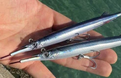 Little Jack Sayoris 155 9 Little Jack Sayoris 155 -FishCandy Geschaft little jack sayoris 135 detail2