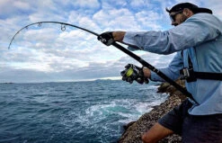 Zenaq Tobizo -FishCandy Geschaft zenaq tobizo detail6