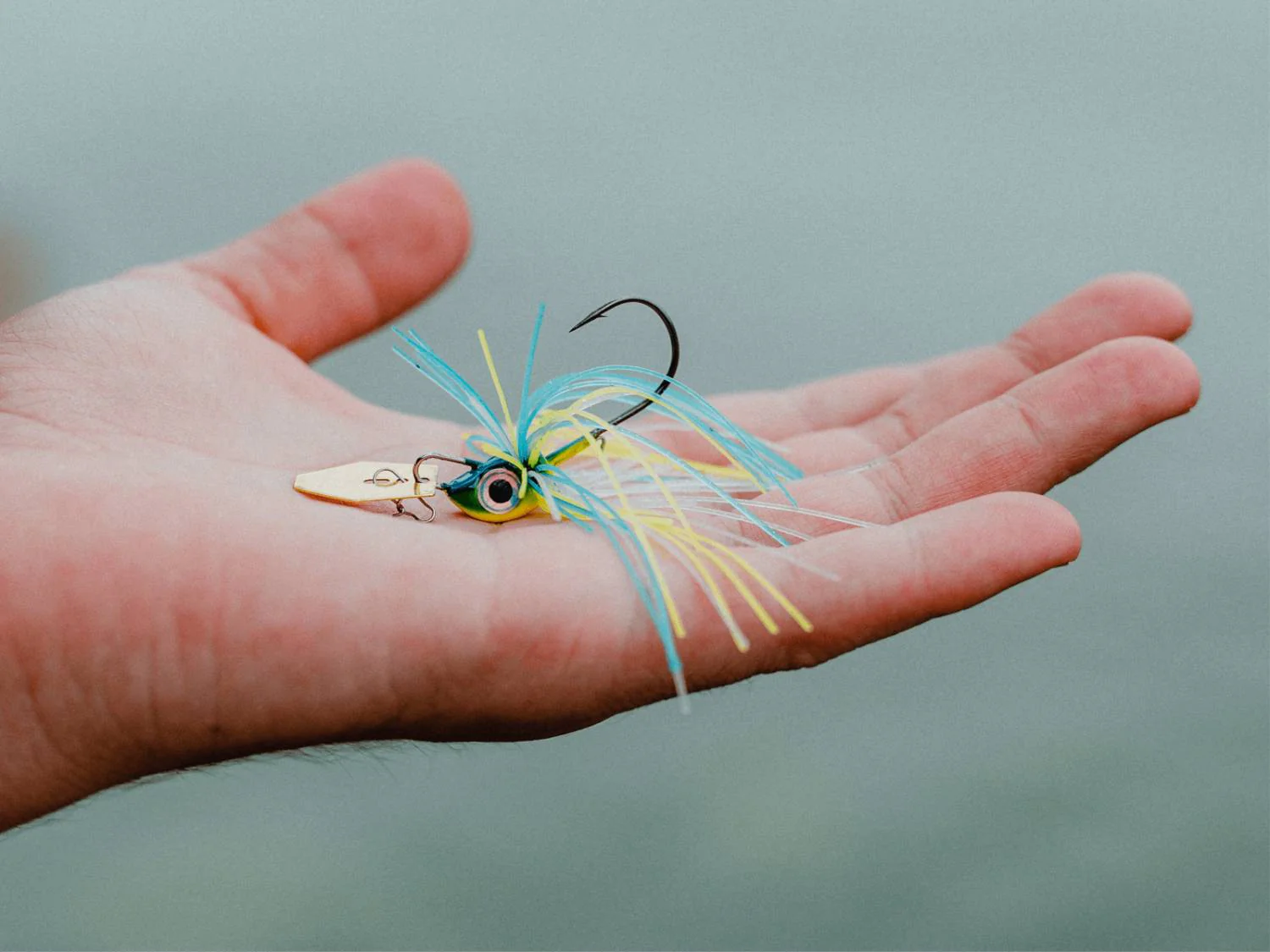 FishCandy Geschaft -FishCandy Geschaft AquaNeon05